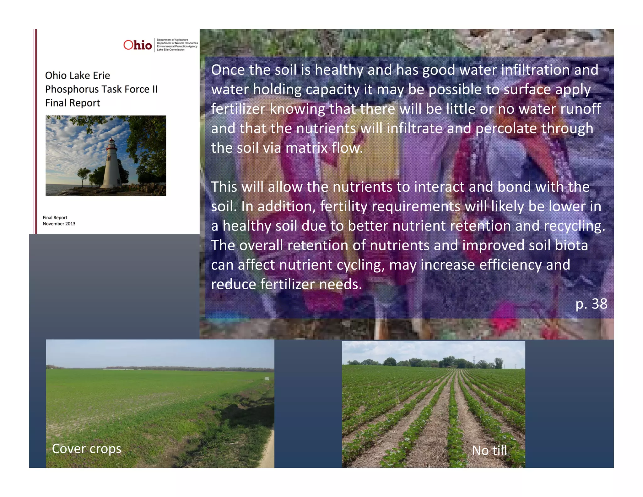 Once the soil is healthy and has good water infiltration and 
water holding capacity it may be possible to surface apply 
fertilizer knowing that there will be little or no water runoff 
and that the nutrients will infiltrate and percolate through 
the soil via matrix flow. 
This will allow the nutrients to interact and bond with the 
soil. In addition, fertility requirements will likely be lower in 
a healthy soil due to better nutrient retention and recycling. 
The overall retention of nutrients and improved soil biota 
can affect nutrient cycling, may increase efficiency and 
reduce fertilizer needs. 
p. 38
No tillCover crops
 
