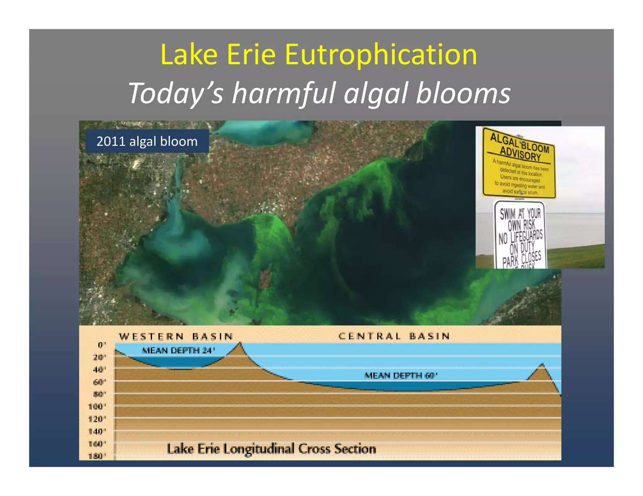 Lake Erie Eutrophication 
Today’s harmful algal blooms
Source: NOAA
2011 algal bloom
 