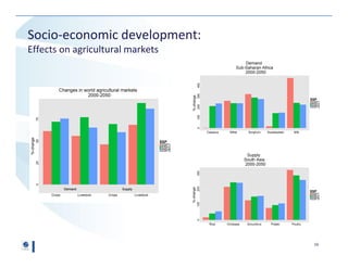 Agriculture and Forest Sector Long-Term Outlook from GLOBIOM