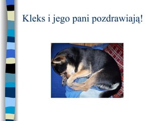 Kleks i jego pani pozdrawiają!  