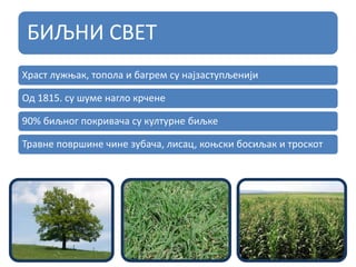 БИЉНИ СВЕТ
Храст лужњак, топола и багрем су најзаступљенији
Од 1815. су шуме нагло крчене
90% биљног покривача су културне биљке
Травне површине чине зубача, лисац, коњски босиљак и троскот
 