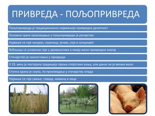 ПРИВРЕДА - ПОЉОПРИВРЕДА
Пољопривреда је традиционално најважнија привредна делатност
Основна грана производње у пољопривреди је ратарство
Највише се гаје кукуруз, пшеница, јечам, соја и сунцокрет
Воћњаци се углавном гаје у двориштима и имају мали привредни значај
Сточарство је неизоставно у привреди
У 19. веку је постојала традиција гајења спортских коња, али данас их је веома мало
Сточна храна је скупа, па производња у сточарству опада
Највише се гаје свиње, говеда, живина и овце
 