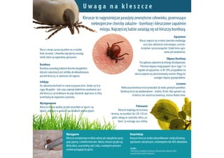 Uwaga na kleszcze
