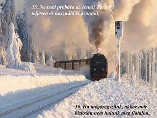 35.  Ne tedd próbára az életet! Tárd fel teljesen és használd ki azonnal. 36.  Ha megöregszünk, akkor már biztosan nem halunk meg fiatalon . 