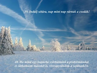39.  Indulj sétára, nap mint nap várnak a csodák! 40.  Ha mind egy kupacba szórhatnánk a problémáinkat és láthatnánk másokét is, visszanyúlnánk a sajátunkért. 