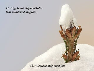 41.  Irigykedni időpocsékolás. Már mindened megvan. 42.  A legjava még most jön. 