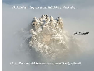 43.  Mindegy, hogyan érzel, öltözködsz, viselkedsz. 44.  Engedj! 45.  Az élet nincs átkötve masnival, de ettől még ajándék. 