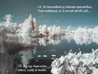 13.  Ne hasonlítsd az életedet másokéhoz. Nem tudhatod, az ő sorsuk miről szól… 14.  Ha egy kapcsolat titkos, szállj ki belőle. 