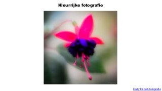 Kleurrijke fotografie
Harry Hilders fotografie
 