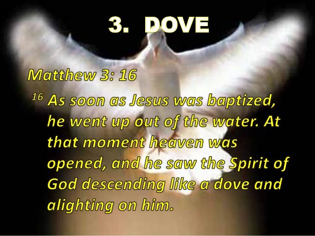 god the holy spirit 688 the church, a communion living in the faith of the apostles which she transmits, is the place where we know the holy spirit: 689 the one whom the father has sent into our hearts, the spirit of his son, is truly god 10 consubstantial with the father and the son, the spirit is inseparable from. god the holy spirit 688 the church, a communion living in the faith of the apostles which she transmits, is the place where we know the holy spirit: 689 the one whom the father has sent into our hearts, the spirit of his son, is truly god 10 consubstantial with the father and the son, the spirit is inseparable from.