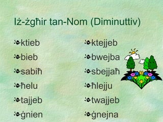 I ż - ż g ħ ir tan-Nom (Diminuttiv) ktieb bieb sabi ħ ħ elu tajjeb ġ nien ktejjeb bwejba sbejja ħ ħ lejju twajjeb ġ nejna 