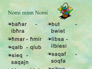 Nomi minn Nomi ba ħ ar - ib ħ ra ħ mar -  ħ mir qalb - qlub sieq -  saqajn id - idejn ras - irjus but - bwiet libsa - ilbiesi saqaf - soqfa xitwa - xtiewi si ġr a - si ġ ar fjura - fjuri 