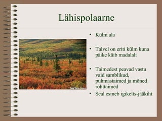 Lähispolaarne Külm ala Talvel on eriti külm kuna päike käib madalalt Taimedest peavad vastu vaid samblikud, puhmastaimed ja mõned rohttaimed Seal esineb igikelts-jääkiht 