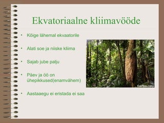 Ekvatoriaalne kliimavööde Kõige lähemal ekvaatorile A lati soe ja niiske kliima Sajab jube palju Päev ja öö on ühepikkused(enamvähem) Aastaaegu ei eristada ei saa 