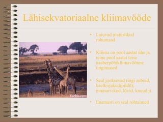 Lähisekvatoriaalne kliimavööde L aiuvad ulatuslikud rohumaad Kliima on pool aastat ühe ja teine pool aastat teise naaberpõhikliimavöötme tingimused Seal jooksevad ringi zebrad, kaelkirjakud(pildil), ninasarvikud, lõvid, knuud jt. Enamasti on seal rohtaimed 