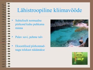 Lähistroopiline kliimavööde Suhteliselt normaalne piirkond kuhu puhkama minna Palav suvi, pehme talv Eksootilised piirkonnad- nagu telekast näidatakse 