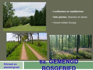 • Loofbomen en naaldbomen

                  • Vele planten, bloemen en dieren

                  • Vooral midden Europa




Klimaat en
               6a. GEMENGD
plantengroei
 