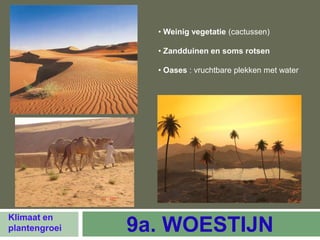 • Weinig vegetatie (cactussen)

                 • Zandduinen en soms rotsen

                 • Oases : vruchtbare plekken met water




Klimaat en
plantengroei   9a. WOESTIJN
 