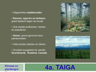 • Uitgestrekte naaldwouden

    • Dennen, sparren en lariksen,
    goed bestand tegen de koude

    • Ook enkele loofbomen: berken
    en populieren

    • Venen: grond gevormd door
    plantenresten

    • Veel soorten planten en dieren

    • Grootste bosgebied ter wereld:
    Scandinavië, Rusland, Canada




Klimaat en
plantengro                         4a. TAIGA
 