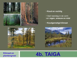 • Koud en vochtig

                  • Veel neerslag in de vorm
                  van regen, sneeuw en mist

                  • Koudgematigd klimaat




Klimaat en
plantengroei   4b. TAIGA
 