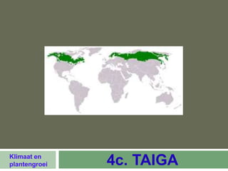 Klimaat en
plantengroei   4c. TAIGA
 