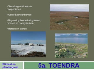 • Toendra grenst aan de
   poolgebieden

   • Gebied zonder bomen

   • Begroeiing bestaat uit grassen,
   mossen en dwergstruiken

   • Rotsen en stenen




Klimaat en
plantengroei                     5a. TOENDRA
 