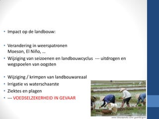 • Impact op de landbouw:
• Verandering in weerspatronen
Moeson, El Niño, …
• Wijziging van seizoenen en landbouwcyclus --- uitdrogen en
wegspoelen van oogsten
• Wijziging / krimpen van landbouwareaal
• Irrigatie vs waterschaarste
• Ziektes en plagen
• --- VOEDSELZEKERHEID IN GEVAAR
 