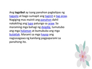 Ang tagsibol ay isang panahon pagkalipas ng
tagyelo at bago sumapit ang taginit o tag-araw.
Nagiging mas mainit ang panahon dahil
nakakiling ang lupa patungo sa araw. Sa
maraming mga bahagi ng daigdig, tumutubo
ang mga halaman at bumubuka ang mga
bulaklak. Marami sa mga hayop ang
nagsasagawa ng kanilang pagpaparami sa
panahong ito.
 