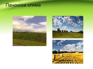 Панонска клима
 
