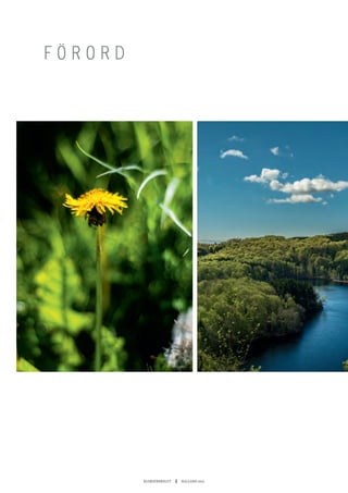 KLIMATBOKSLUT  4  HALLAND 2017
F Ö R O R D
 