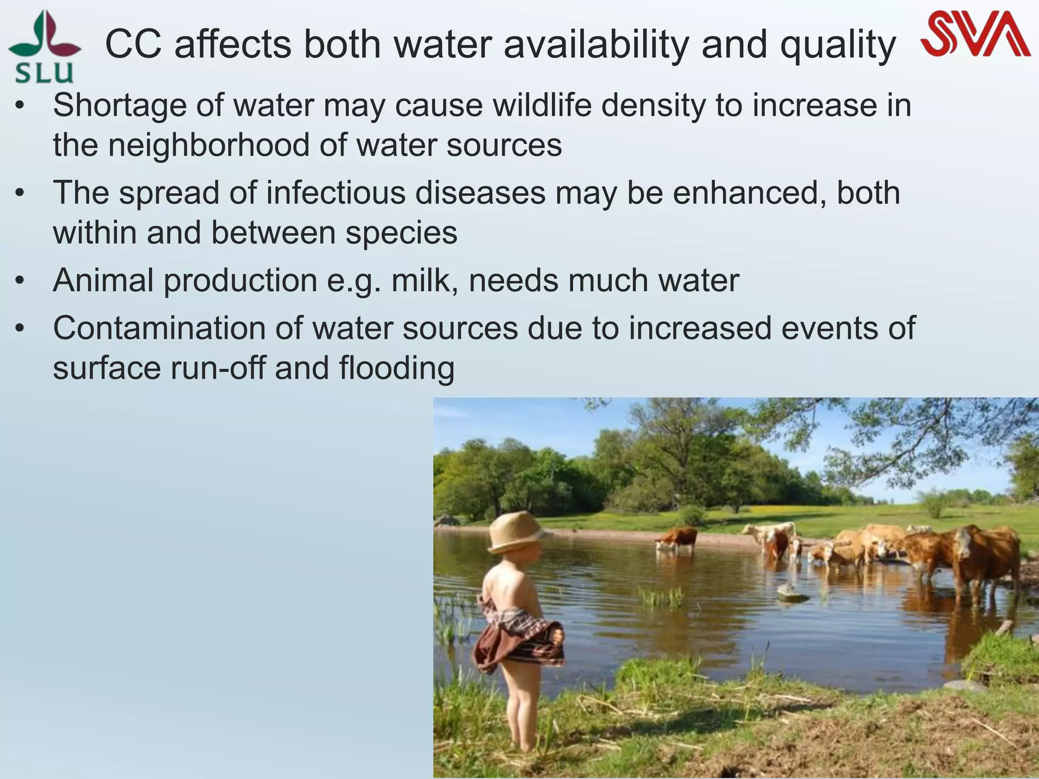 • Shortage of water may cause wildlife density to increase in
the neighborhood of water sources
• The spread of infectious diseases may be enhanced, both
within and between species
• Animal production e.g. milk, needs much water
• Contamination of water sources due to increased events of
surface run-off and flooding
CC affects both water availability and quality
 
