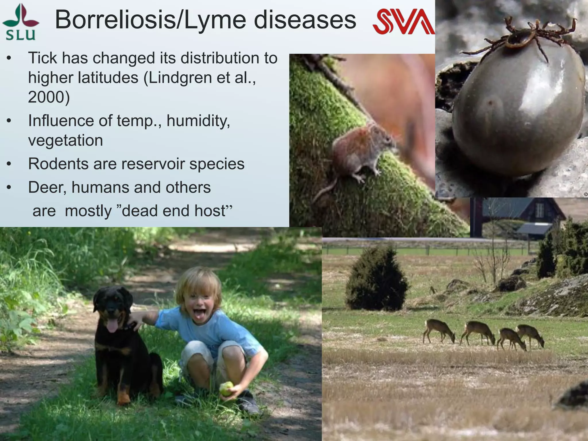 Borreliosis/Lyme diseases
• Tick has changed its distribution to
higher latitudes (Lindgren et al.,
2000)
• Influence of temp., humidity,
vegetation
• Rodents are reservoir species
• Deer, humans and others
are mostly ”dead end host”
 