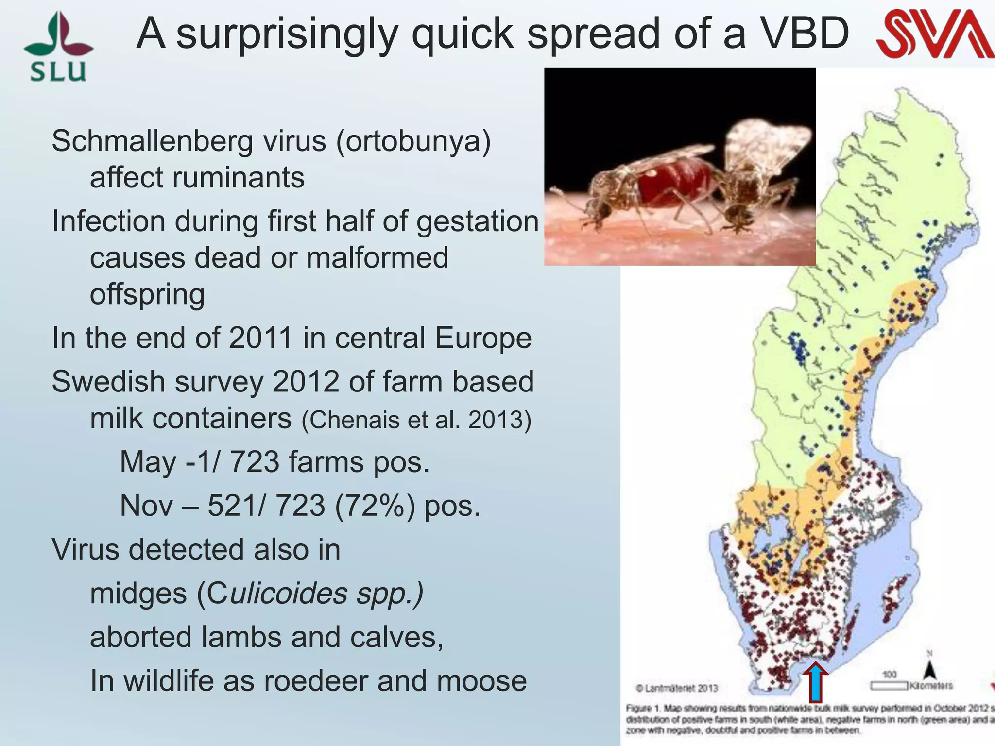 A surprisingly quick spread of a VBD
Schmallenberg virus (ortobunya)
affect ruminants
Infection during first half of gestation
causes dead or malformed
offspring
In the end of 2011 in central Europe
Swedish survey 2012 of farm based
milk containers (Chenais et al. 2013)
May -1/ 723 farms pos.
Nov – 521/ 723 (72%) pos.
Virus detected also in
midges (Culicoides spp.)
aborted lambs and calves,
In wildlife as roedeer and moose
 