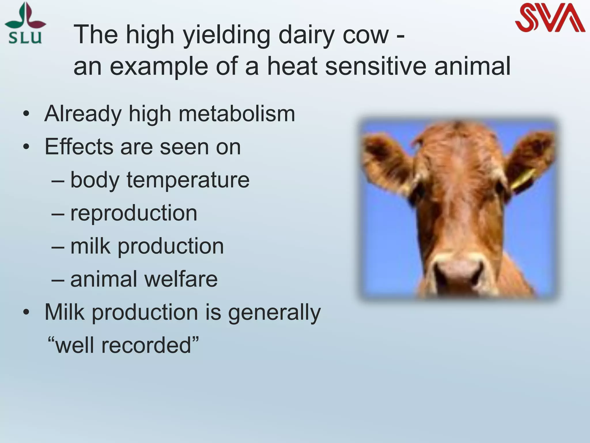 The high yielding dairy cow -
an example of a heat sensitive animal
• Already high metabolism
• Effects are seen on
– body temperature
– reproduction
– milk production
– animal welfare
• Milk production is generally
“well recorded”
 