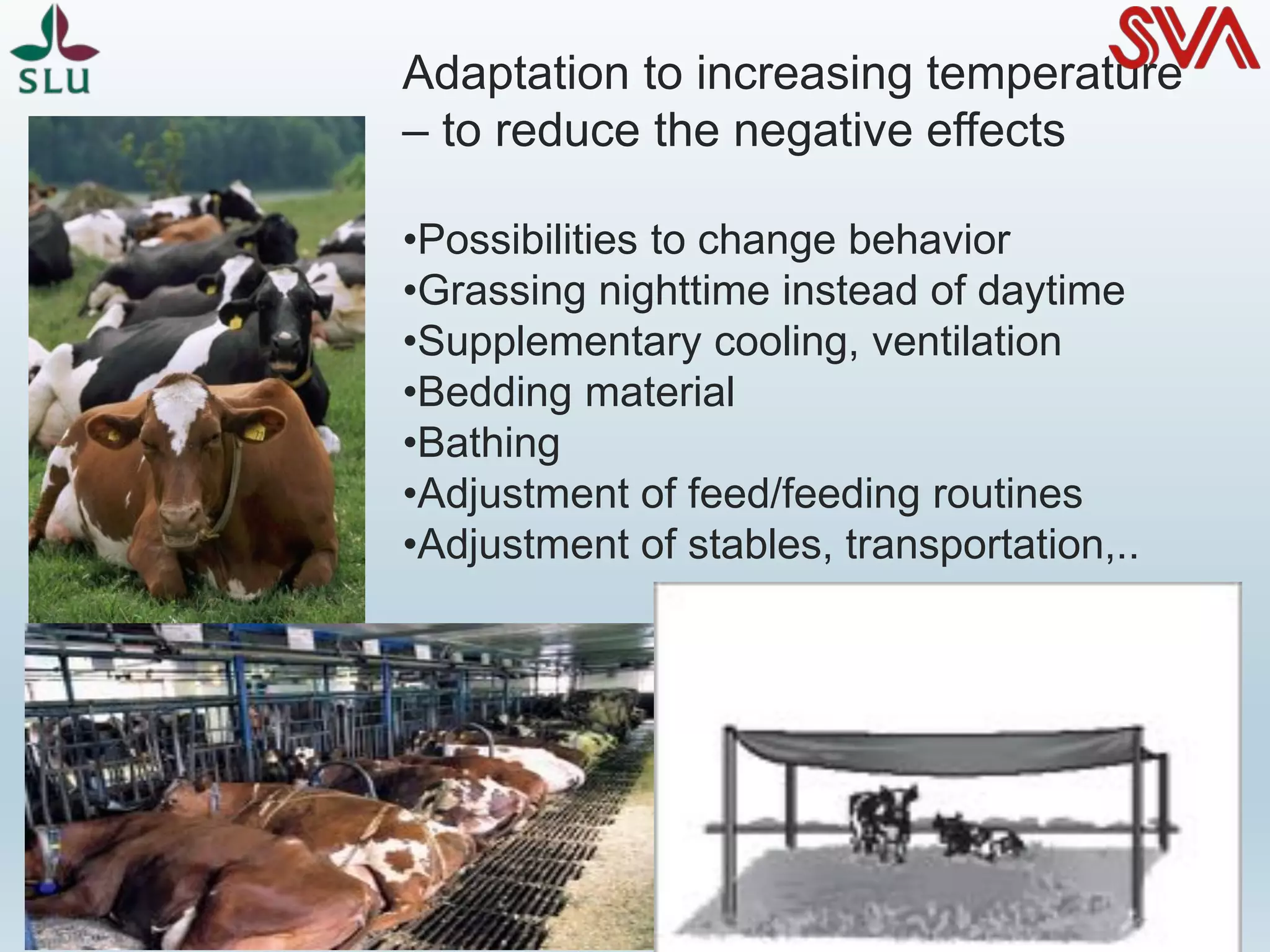 Adaptation to increasing temperature
– to reduce the negative effects
•Possibilities to change behavior
•Grassing nighttime instead of daytime
•Supplementary cooling, ventilation
•Bedding material
•Bathing
•Adjustment of feed/feeding routines
•Adjustment of stables, transportation,..
 