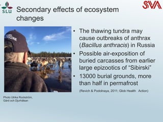 Climate change - influence on animal health and production | PDF