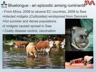 Climate change - influence on animal health and production | PDF