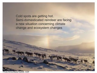 Climate change - influence on animal health and production | PDF