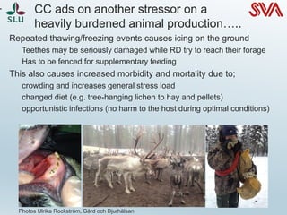 Climate change - influence on animal health and production | PDF