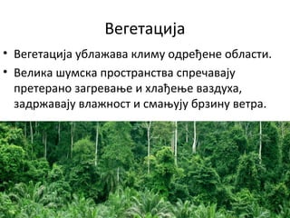 Вегетација
• Вегетација ублажава климу одређене области.
• Велика шумска пространства спречавају
претерано загревање и хлађење ваздуха,
задржавају влажност и смањују брзину ветра.
 
