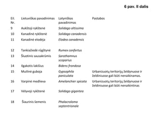 Eil.
Nr.
Lietuviškas pavadinimas Lotyniškas
pavadinimas
Pastabos
9 Aukštoji rykštenė Solidago altissima
10 Kanadinė rykštenė Solidago canadensis
11 Kanadinė elodėja Elodea canadensis
12 Tankiažiedė rūgštynė Rumex confertus
13 Šluotinis sausakrūmis Sarothamnus
scoparius
14 Ilgakotis lakišius Bidens frondosa
15 Muilinė guboja Gypsophila
paniculata
Urbanizuotų teritorijų želdynuose ir
želdiniuose gali būti nenaikinamas.
16 Varpinė medlieva Amelanchier spicata Urbanizuotų teritorijų želdynuose ir
želdiniuose gali būti nenaikintinas
17 Vėlyvoji rykštenė Solidago gigantea
18 Šiaurinis šemenis Phalacroloma
septentrionale
6 pav. II dalis
 
