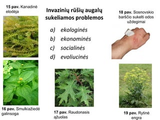 Invazinių rūšių augalų
sukeliamos problemos
a) ekologinės
b) ekonominės
c) socialinės
d) evoliucinės
15 pav. Kanadinė
elodėja
16 pav. Smulkiažiedė
galinsoga 17 pav. Raudonasis
ąžuolas
18 pav. Sosnovskio
barščio sukelti odos
uždegimai
19 pav. Rytinė
engra
 