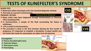 TESTS OF KLINEFELTER’S SYNDROME
BLOOD TEST:
 Blood test called a karyotype and is the standard diagnostic method.
 Test looks at a person’s chromosomes.
PRENATAL TESTING:
 Many males have been diagnosed through Amniocentesis or Chorionic
Villus Sampling (CVS).
 In Amniocentesis, a sample of the fluid surrounding the foetus is
withdrawn.
 CVS is similar to Amniocentesis.
 The procedure is done in the first trimester (During the first month of
pregnancy, it’s important to establish a foundation of good health) and
the foetal cells needs for examination are taken from the placenta.
CVS
CVS
Investigation:
 Plasma Gonadotrophin level.
 Testicular biopsy.
 Total sperm count.
 Karyotyping.
-Chromosomal Disorder Affecting males-
 
