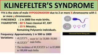 KLINEFELTER’S SYNDROME
It is the state of male HYPOGONADISM due to 2 or more X chromosome with 1
or more y chromosome.
INCIDENCE : 1 in 2000 live male births.
KARYOTYPE : 82 % have classical 47, XXY
: 15 % Mosaics,
Remaining Polysomic individuals.
Frequency: Approximately 1 in 500 to 1000
Variations:
-Chromosomal Disorder Affecting males-
 