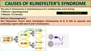 CAUSES OF KLINEFELTER’S SYNDROME
The extra X chromosome is retained because of a nondisjunction event during:
Meiosis- I (gametogenesis)
Meiosis- II in females
Meiosis I (Gametogenesis):
Non Disjunction: Occurs when homologous chromosomes (X & Y) fails to separate and
producing a sperm with extra X and Y chromosome.
-Chromosomal Disorder Affecting males-
 