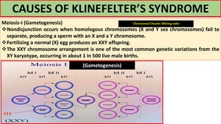 CAUSES OF KLINEFELTER’S SYNDROME
Meiosis-I (Gametogenesis)
Nondisjunction occurs when homologous chromosomes (X and Y sex chromosomes) fail to
separate, producing a sperm with an X and a Y chromosome.
Fertilizing a normal (X) egg produces an XXY offspring.
The XXY chromosome arrangement is one of the most common genetic variations from the
XY karyotype, occurring in about 1 in 500 live male births.
(Gametogenesis)
-Chromosomal Disorder Affecting males-
 