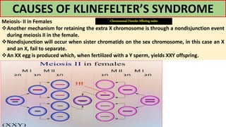 CAUSES OF KLINEFELTER’S SYNDROME
Meiosis- II in Females
Another mechanism for retaining the extra X chromosome is through a nondisjunction event
during meiosis II in the female.
Nondisjunction will occur when sister chromatids on the sex chromosome, in this case an X
and an X, fail to separate.
An XX egg is produced which, when fertilized with a Y sperm, yields XXY offspring.
-Chromosomal Disorder Affecting males-
 