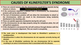 CAUSES OF KLINEFELTER’S SYNDROME
 The main error in development that leads to Klinefelter’s syndrome is a
nondisjunction.
 Nondisjunction is when the chromosomes do not separate correctly during cell
division.
 In the case of Klinefelter syndrome the sex chromosomes fail to separate
resulting in an extra X chromosome that is associated with this disease.
 There are several reasons why the chromosomes would fail to separate during
meiosis or mitosis.
 If the centromere sequence is deleted from a chromosome, the kinetochore
proteins will not be able to attach.
 The lack of kinetochore proteins will not allow the microtubules to attach to
the chromosomes, which can result in the chromosome being randomly
distributed in the resulting cells.
 There are spindle apparatus checkpoints during the cell cycle.
 If the chromosomes do not align properly along the metaphase plate, the cell
will perform apoptosis.
 If this checkpoint is not present the cell will continue through division with the
incorrect chromosome alignment. This can result in aneuploidy.
-Chromosomal Disorder Affecting males-
 