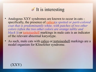 Klinefelter syndrome | PPT