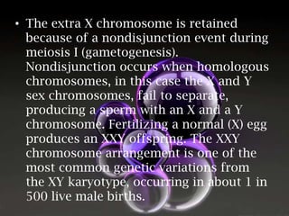 • The extra X chromosome is retained
because of a nondisjunction event during
meiosis I (gametogenesis).
Nondisjunction occurs when homologous
chromosomes, in this case the X and Y
sex chromosomes, fail to separate,
producing a sperm with an X and a Y
chromosome. Fertilizing a normal (X) egg
produces an XXY offspring. The XXY
chromosome arrangement is one of the
most common genetic variations from
the XY karyotype, occurring in about 1 in
500 live male births.

 